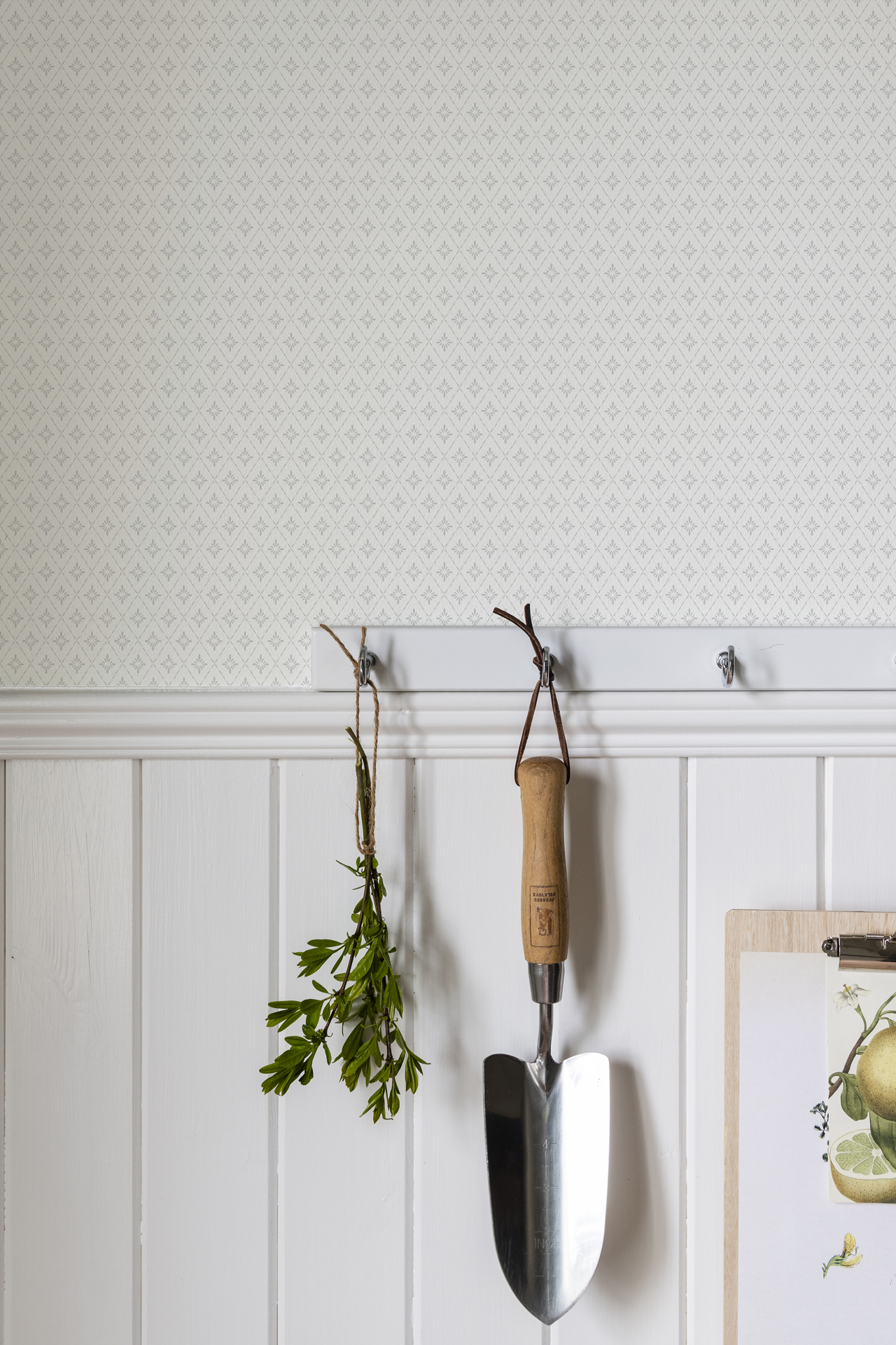 Image de Lillstjärna - 680-01