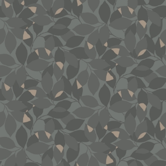 Image de Augusti - 676-03