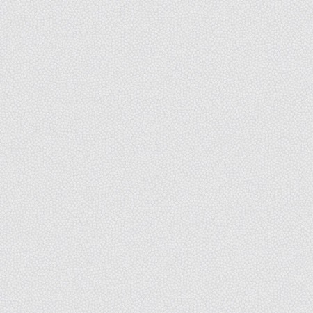 Bild på Guava Silver - HIA502