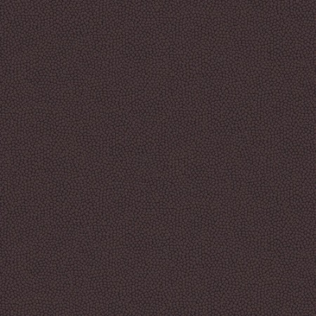 Bild på Guava Eggplant - HIA503