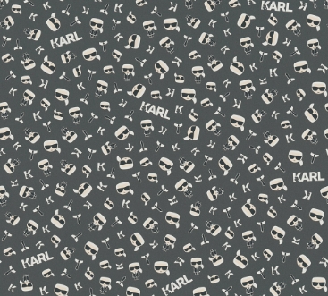 Picture of Karl Lagerfeld - 37843-7