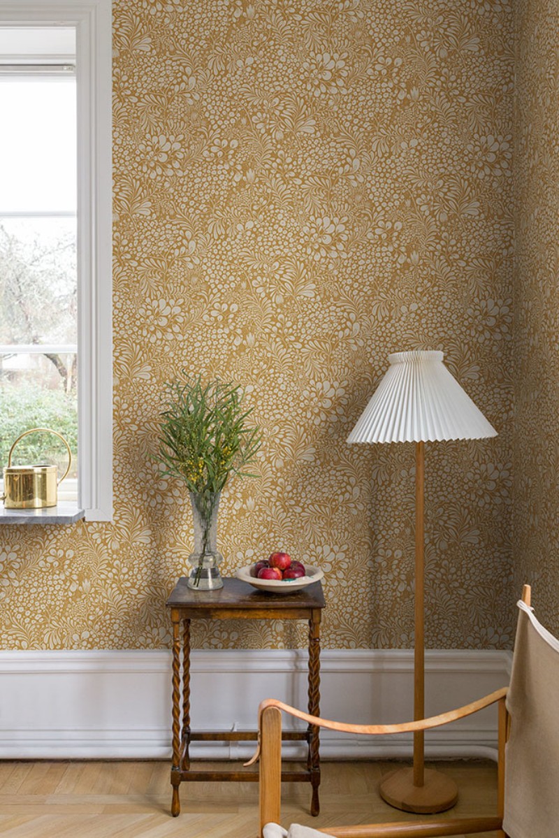 Bild på Siv - 65127