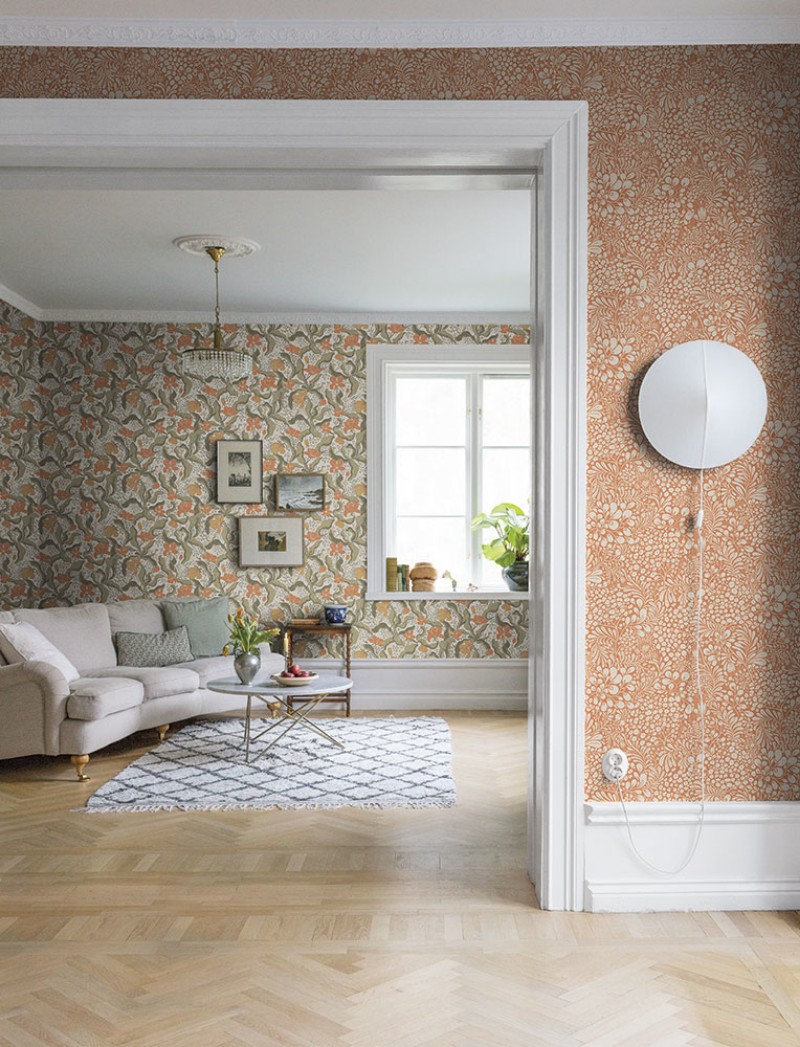 Picture of Bodri - 65119