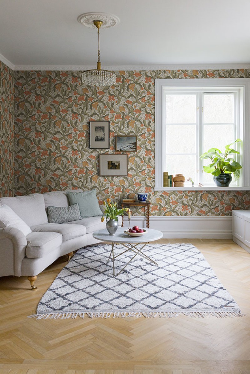 Picture of Bodri - 65119