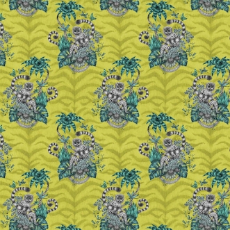 Picture of Lemur Lime - W010302