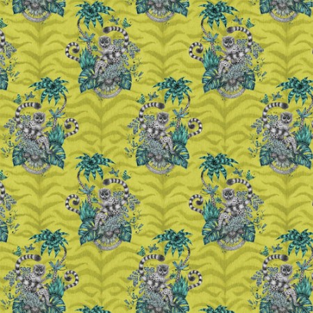 Bild på Lemur Lime - W010302