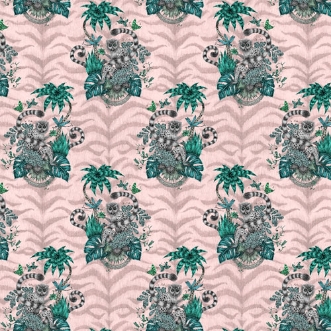 Picture of Lemur Pink - W010304