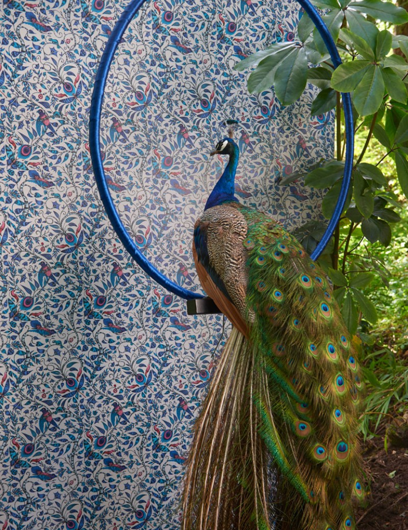 Picture of Rousseau Blue - W010401