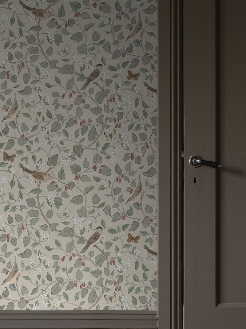 Picture of Sångfåglar - 2056