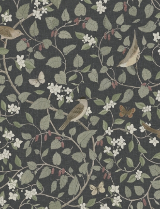 Picture of Sångfåglar - 2057