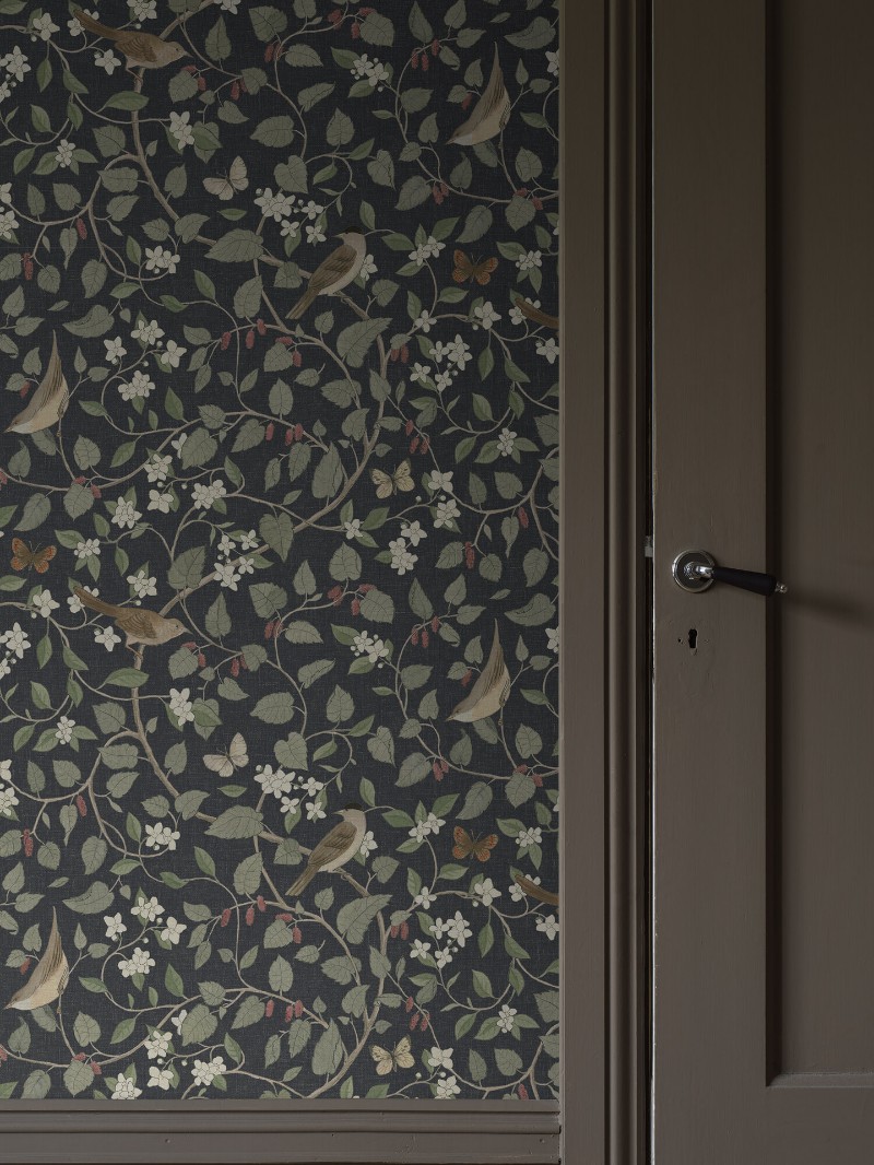 Picture of Sångfåglar - 2057