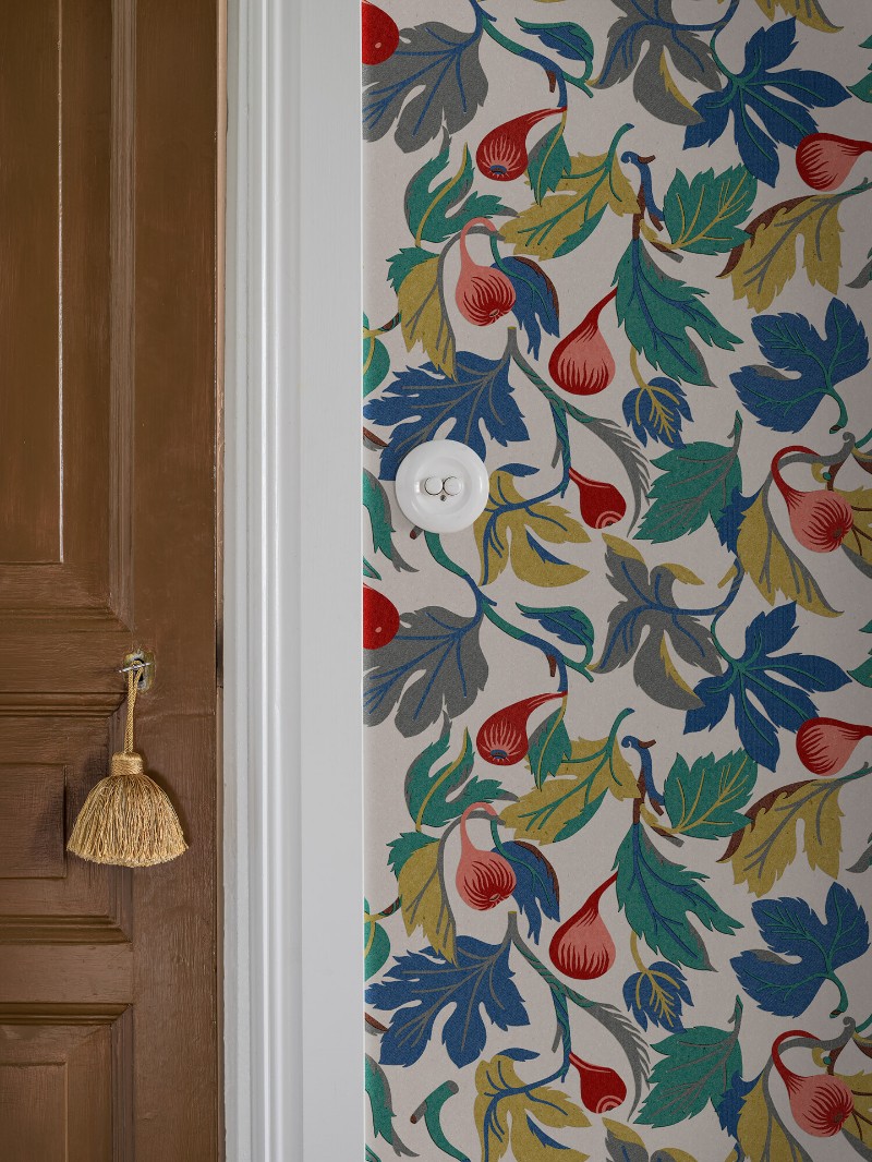 Picture of Figs - 2061