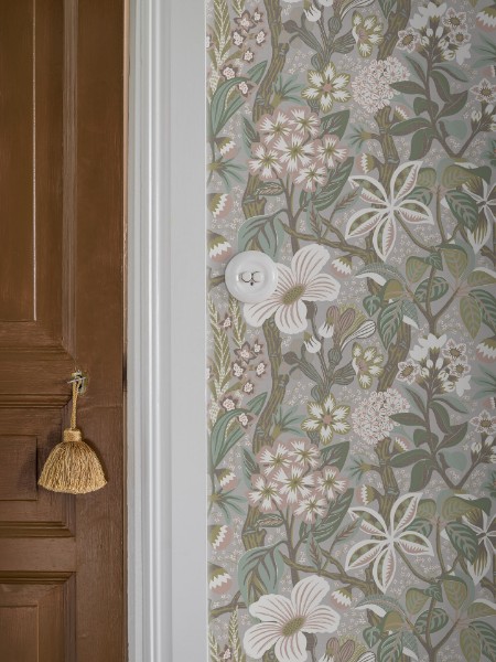 Image de Friviva - 2080