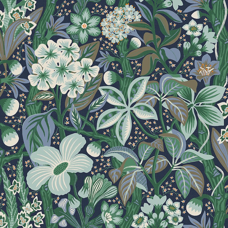 Afbeeldingen van Friviva - 2081