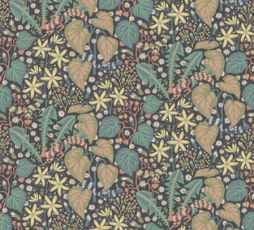 Image de Zingkorre - 2094