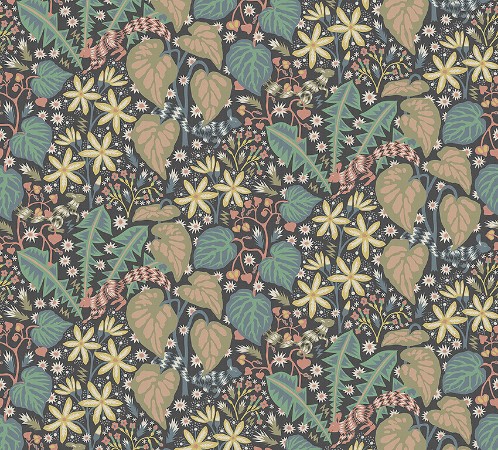 Image de Zingkorre - 2094