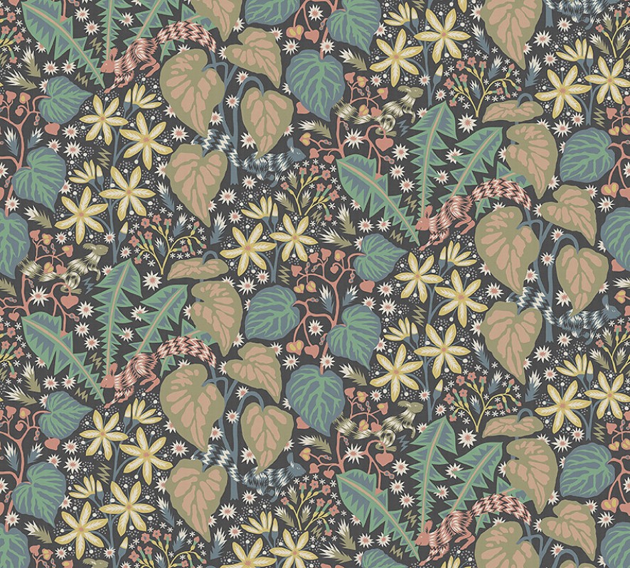 Image de Zingkorre - 2094