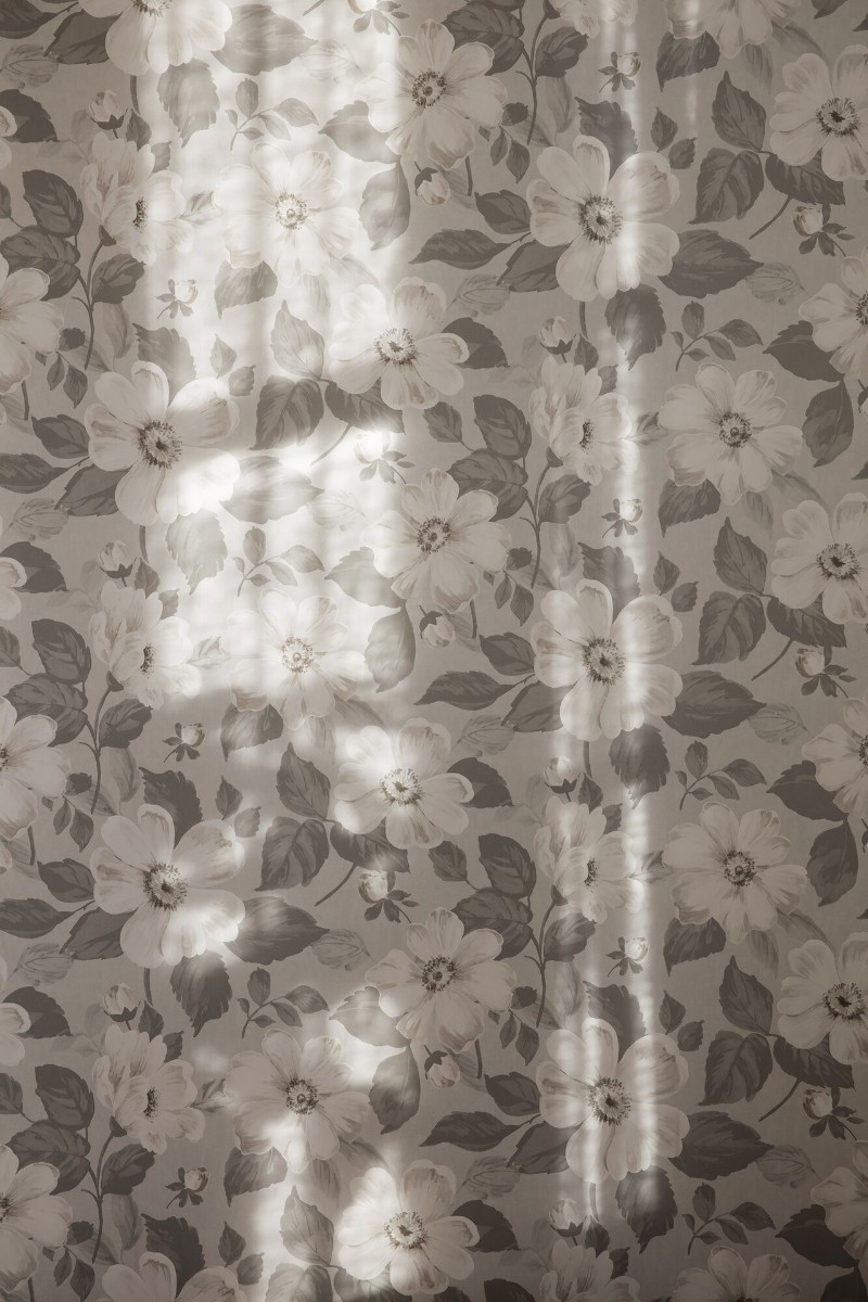 Picture of Alfred - 7410