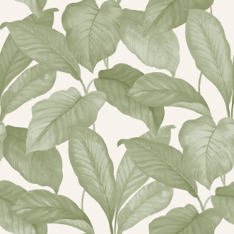 Picture of Bo - 7402