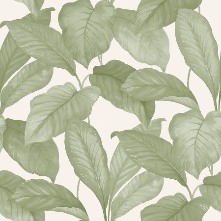 Picture of Bo - 7402