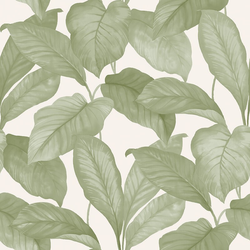 Picture of Bo - 7402