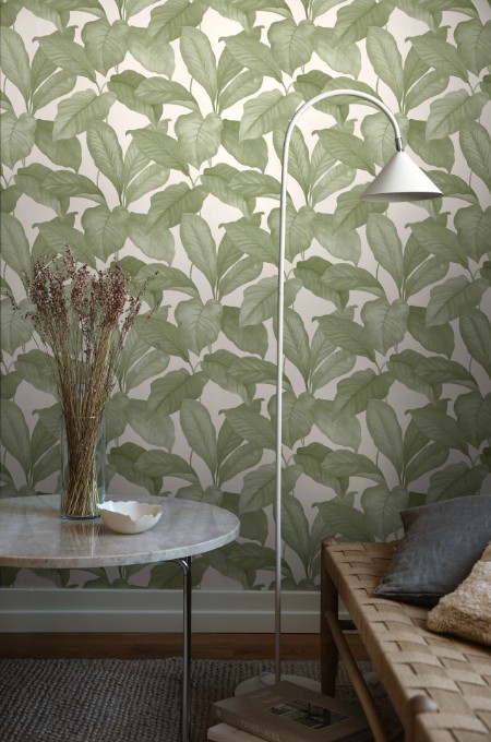 Picture of Bo - 7402