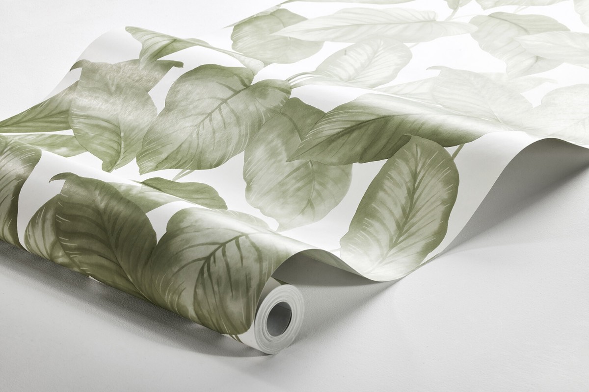 Picture of Bo - 7402