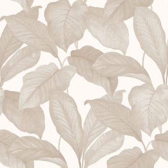 Picture of Bo - 7403