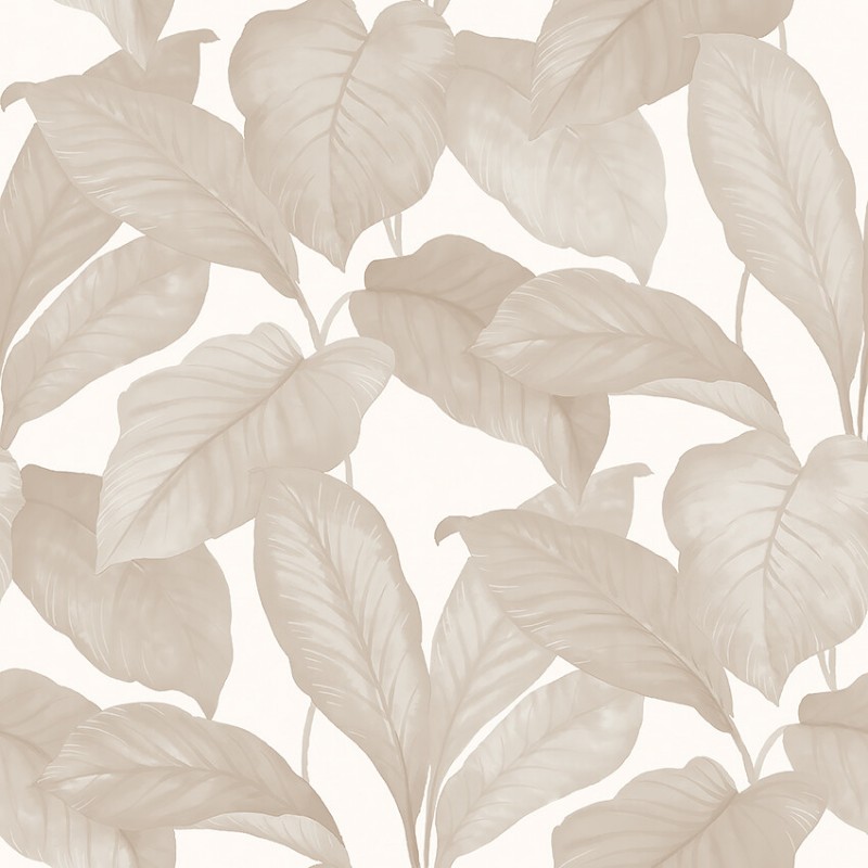 Picture of Bo - 7403