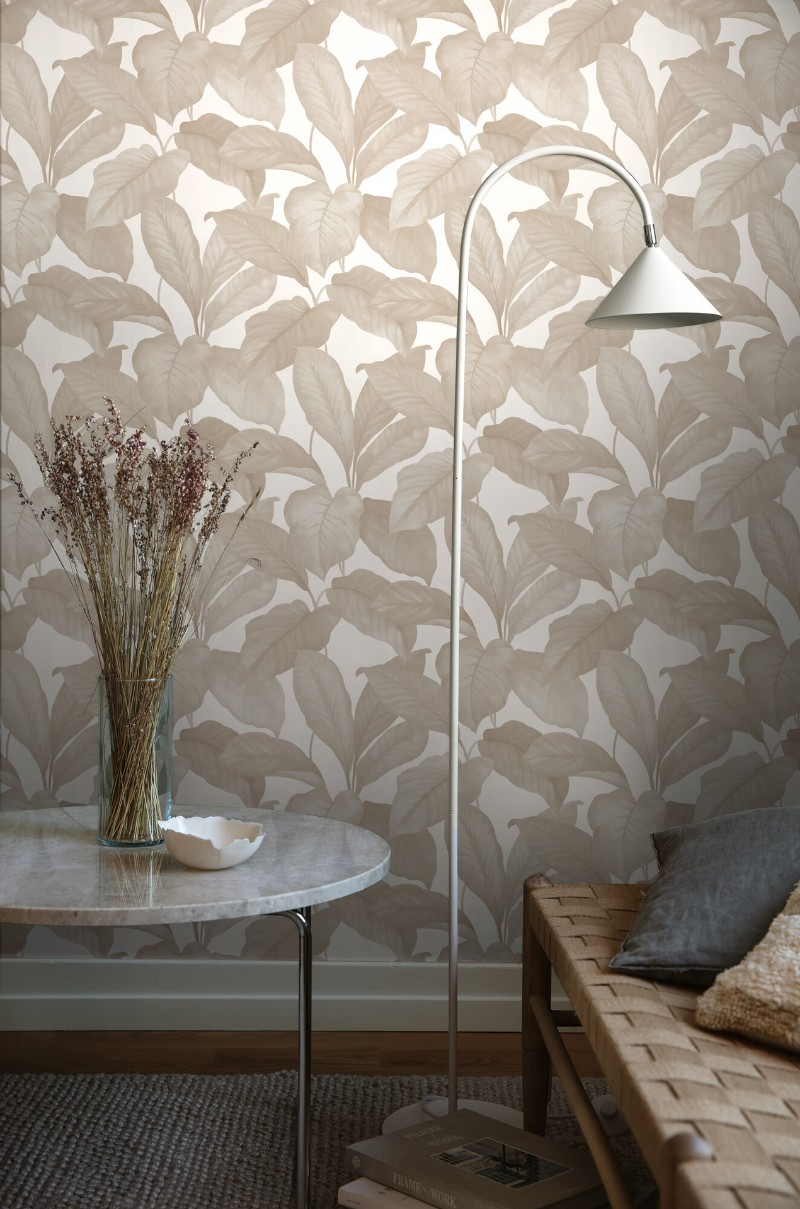 Picture of Bo - 7403