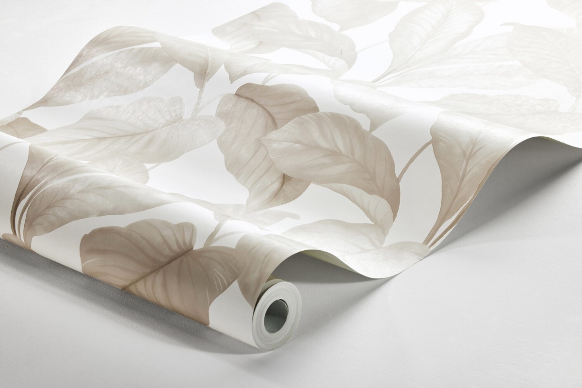 Picture of Bo - 7403