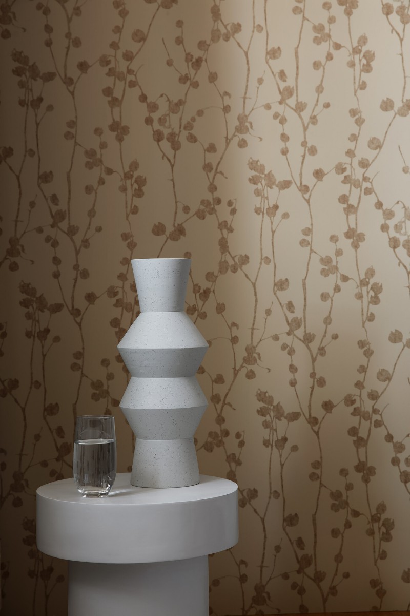 Image de Disa - 7424