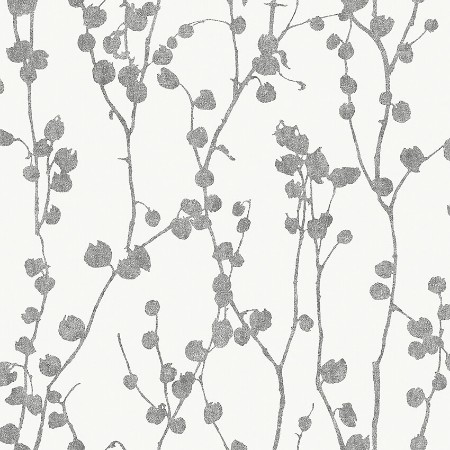 Picture of Disa - 7425