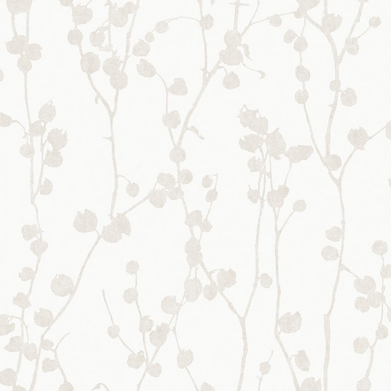 Image de Disa - 7426