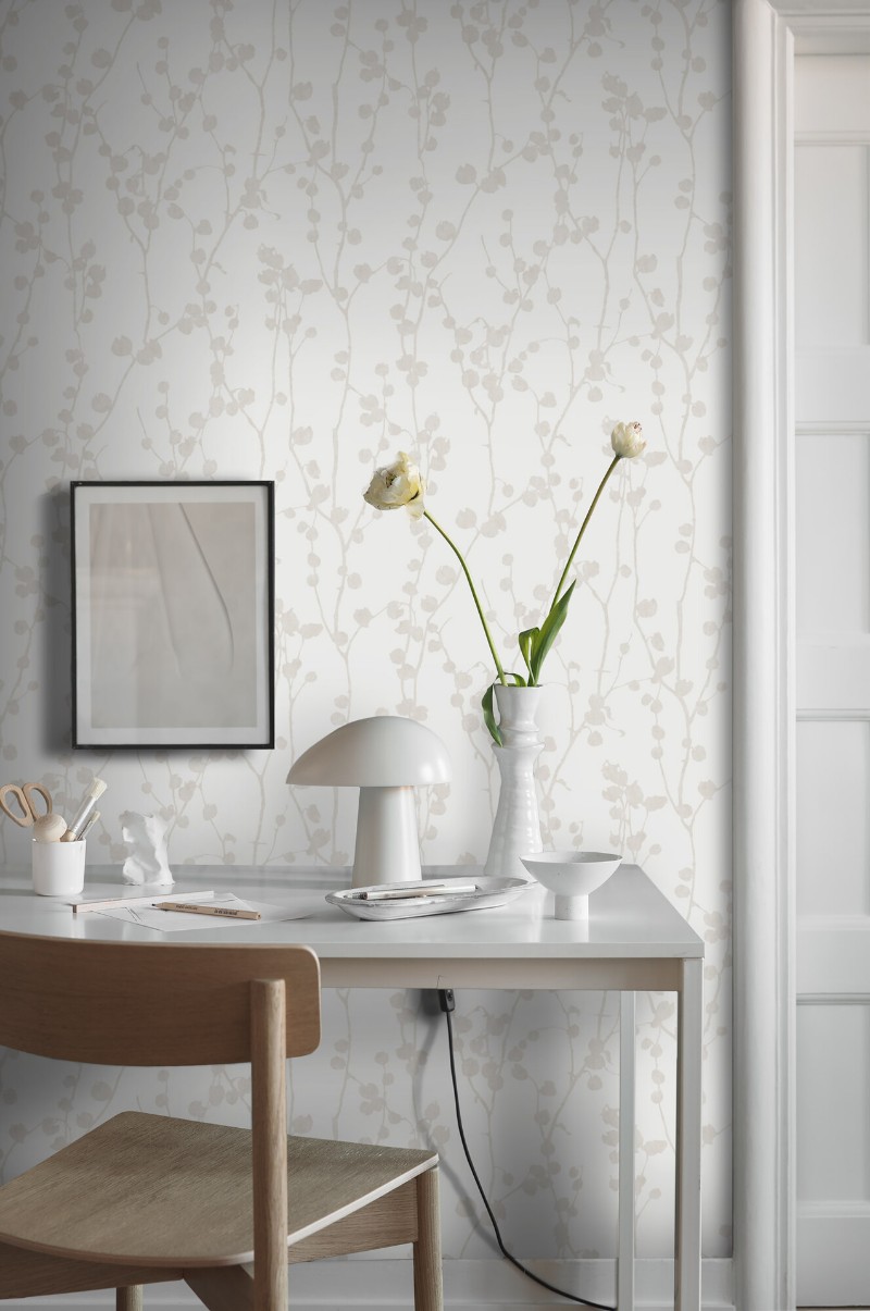 Image de Disa - 7426