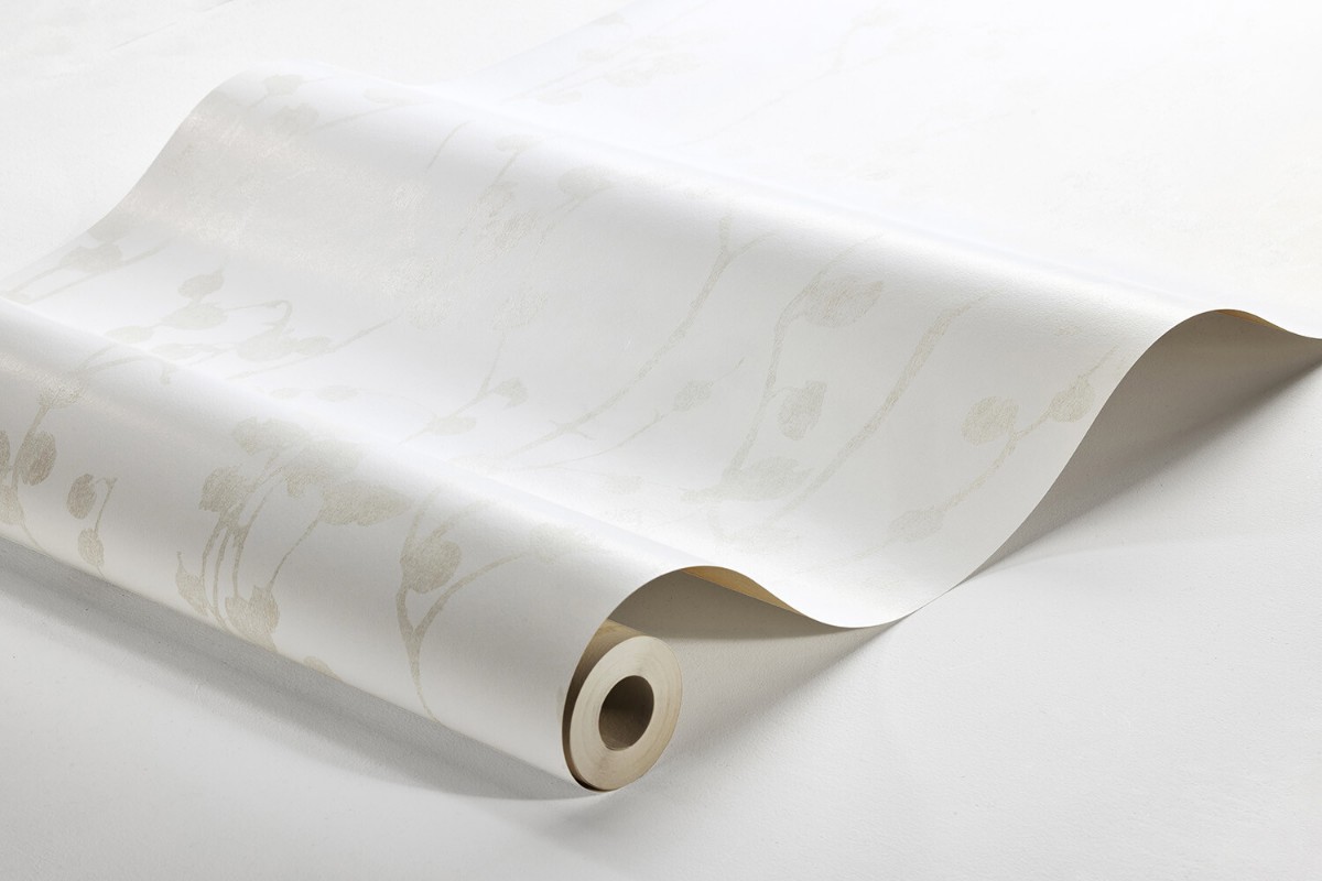 Image de Disa - 7426