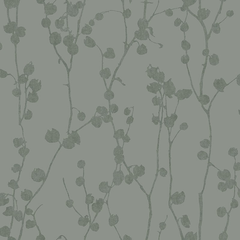 Image de Disa - 7427