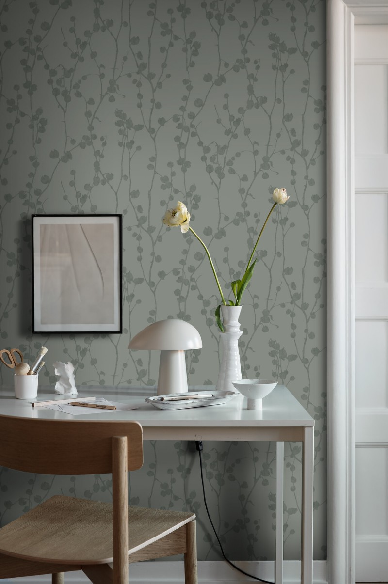 Image de Disa - 7427