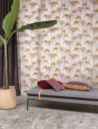 Bild på Botanic ginger - LOT006