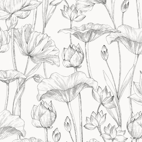 Bild på Lotus black - LOT302