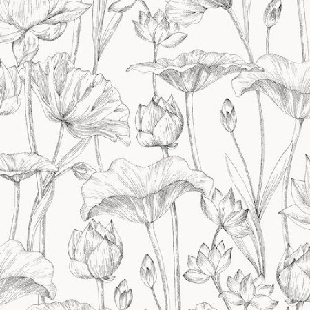 Bild på Lotus black - LOT302