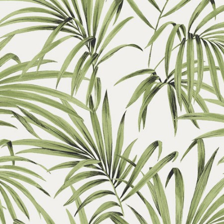 Bild på Palm greenery - LOT103
