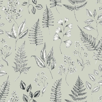 Image de Betula - 15932