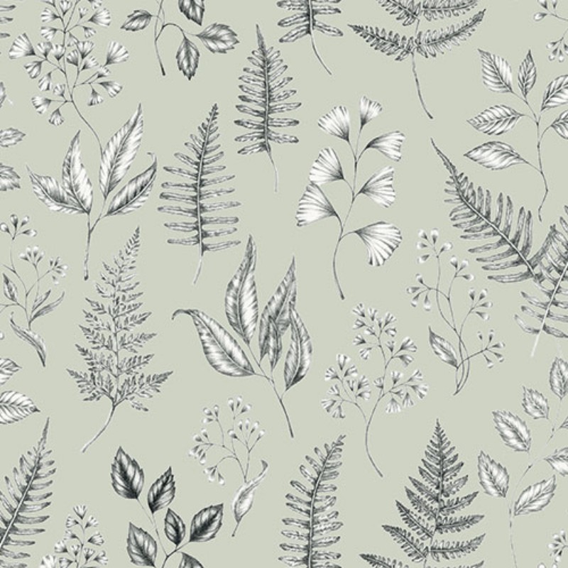 Picture of Betula - 15932