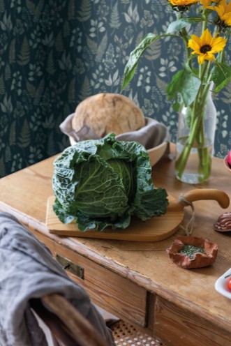 Picture of Betula - 15933