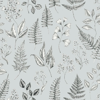 Image de Betula - 15934