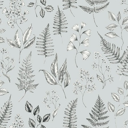 Image de Betula - 15934