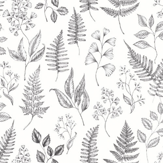 Picture of Betula - 15936