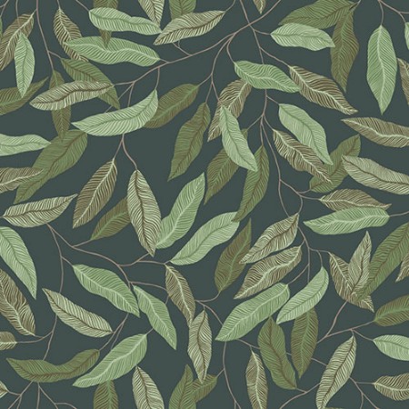 Image de Florian - 15905