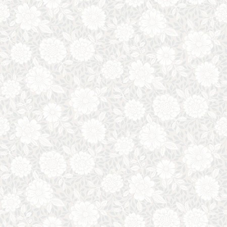 Image de Lizette - 15908